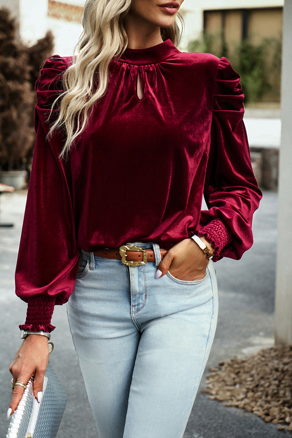 Puff Velvet Long Sleeve Blouse