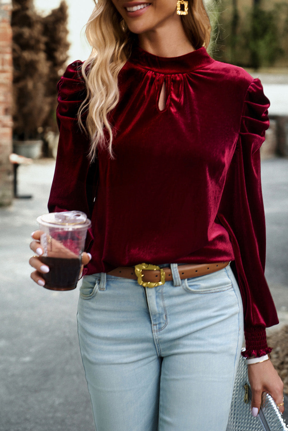 Puff Velvet Long Sleeve Blouse