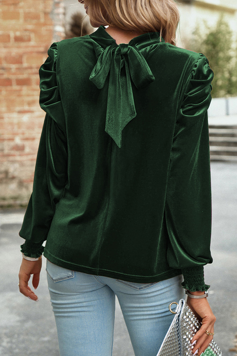 Puff Velvet Long Sleeve Blouse