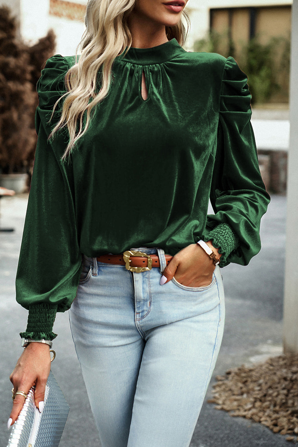 Puff Velvet Long Sleeve Blouse